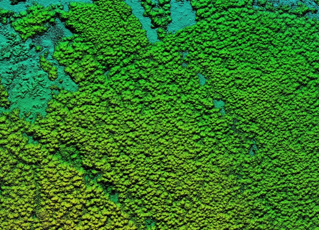 lidar_sylvera.jpg-cropped-thumbnail-c05385d9f958